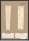 Pleurosigma longinimum Cleve (de-Toni-Nr.: Genus 13, Species 1086) Zeichnungen Sammlung Grunow Nr. 2110 (NHMW-BOT-W0369138)